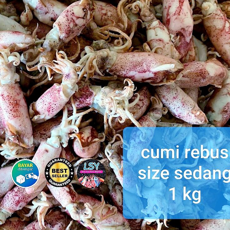 

SMJZ7512 Terbaru ikan asin cumi rebus / sotong rebus size sedang 1kg