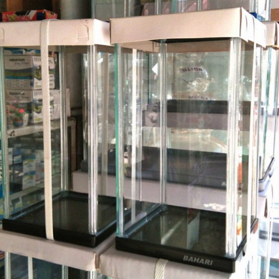 Aquarium Ikan Cupang / Soliter Tempat Ikan Cupang Akrilik Bahari