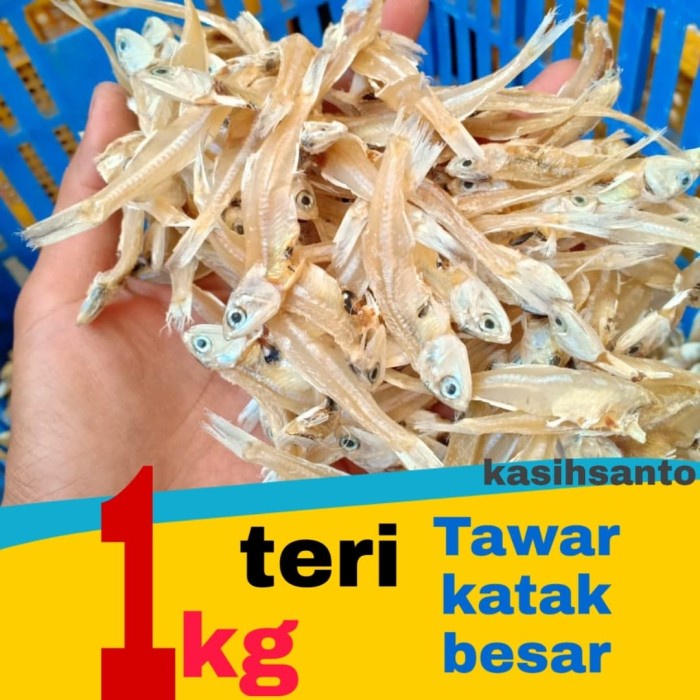 

ikan asin teri tawar katak super-1kg