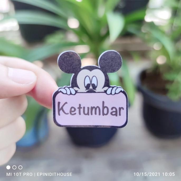 

Stiker Toples Mickey Mouse Label Nama Bumbu Dapur Tempel Anti Air Mura - Langsung Kirim