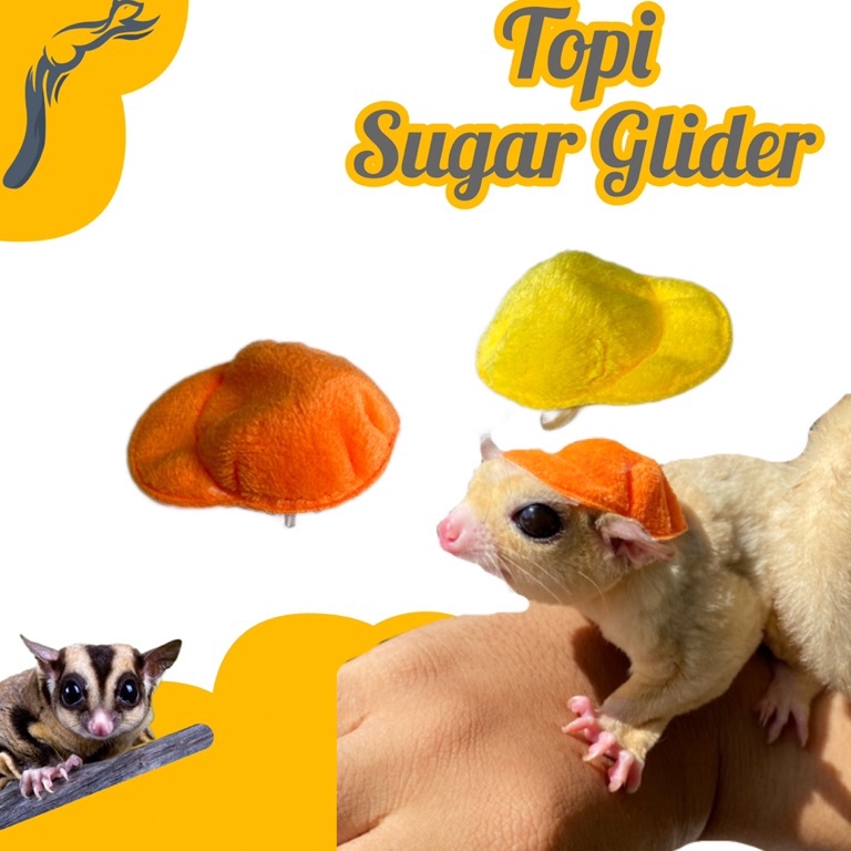R3@dy Stok TOPI SUGAR GLIDER LUCU CAP SUGAR GLIDER TOPI SG TOPI TUPAI TERBANG Paling Diminati
