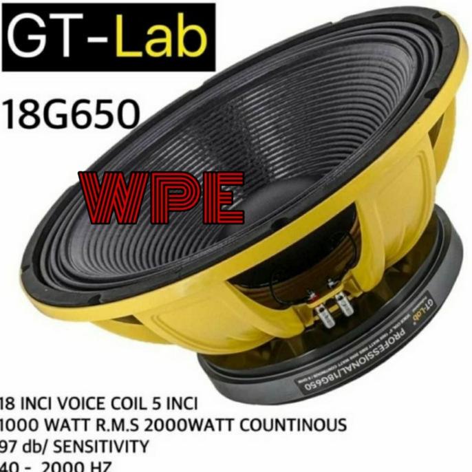 speaker komponen rdw gt lab 18g650 18inch GT LAB 18 G 650 original