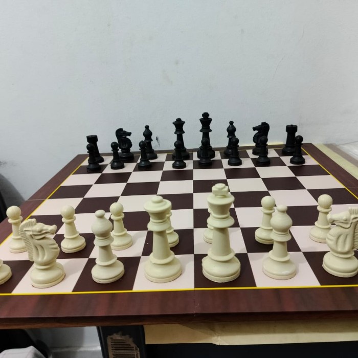 ✅New 1Set Komplit Buah Catur Plastik Magnet Papan Magnet Dan Tas Terbatas