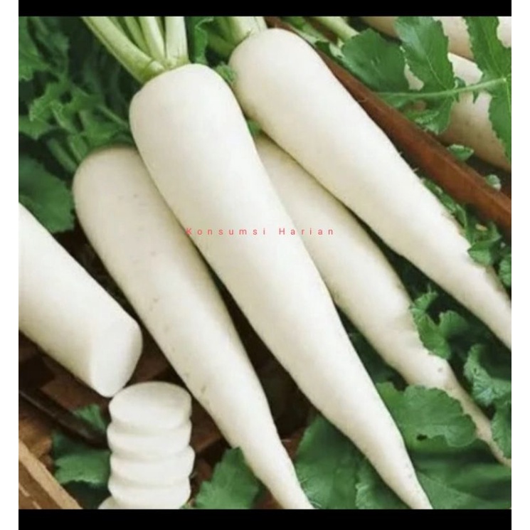 

Lobak / Radish
