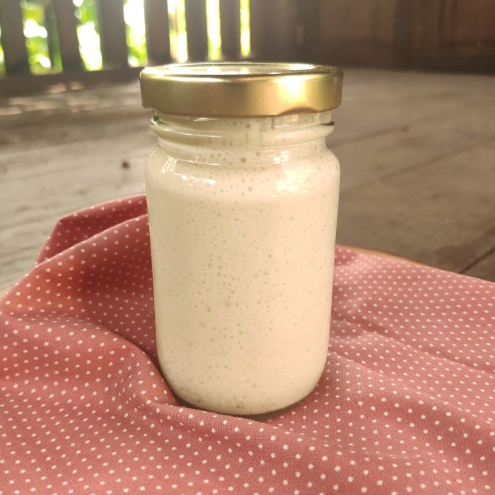 

SOURDOUGH STARTER / RAGI ALAMI