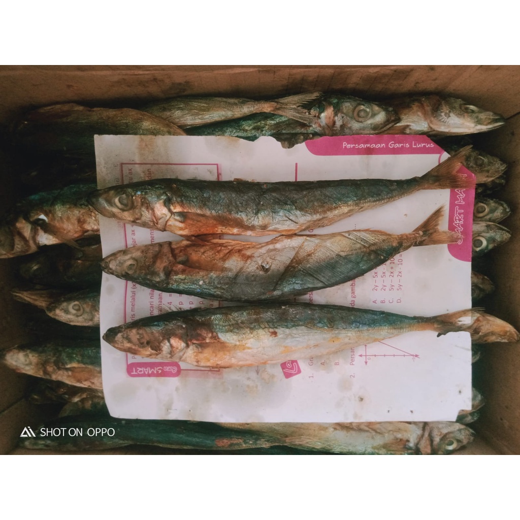 

Klotok Manis Kemasan 250gr-1kg Sensasi Rasa Yang Autentik