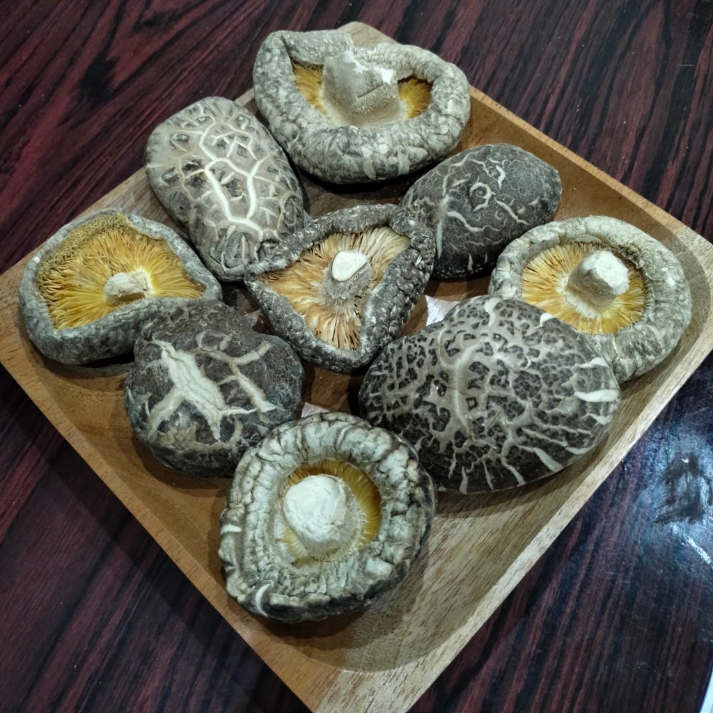 

Jamur Shitake / Hioko / Hyoko Kering Besar / Kecil 250 Gram