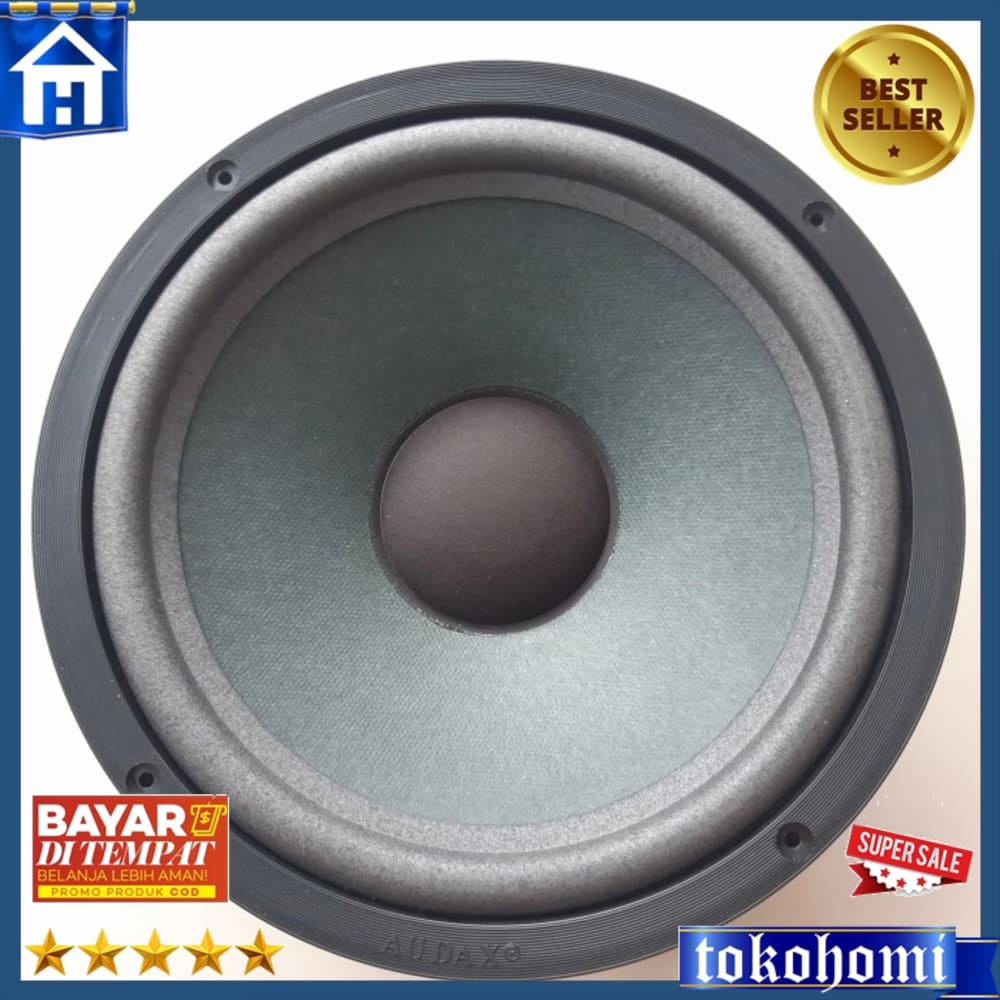 Audax 1090 Speaker 10 Inch Woofer Audax Ax 1090 W8 200Watt