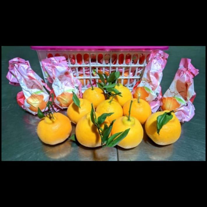 

DISKON READY STOK JERUK DEKOPON MANIS TANPA BIJI ISI 7 KG/ JERUK IMPORT/KADO