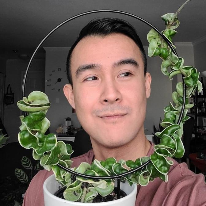 cusss order] Loop Planters - 20cm Rambatan Besi Media Rambat Tanaman Dekorasi Bunga