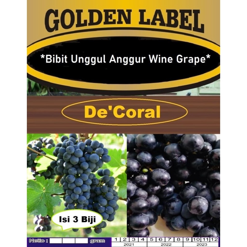 Bibit Anggur Wine Grape|Benih Anggur Wine Grape|Bibit Anggur Hitam