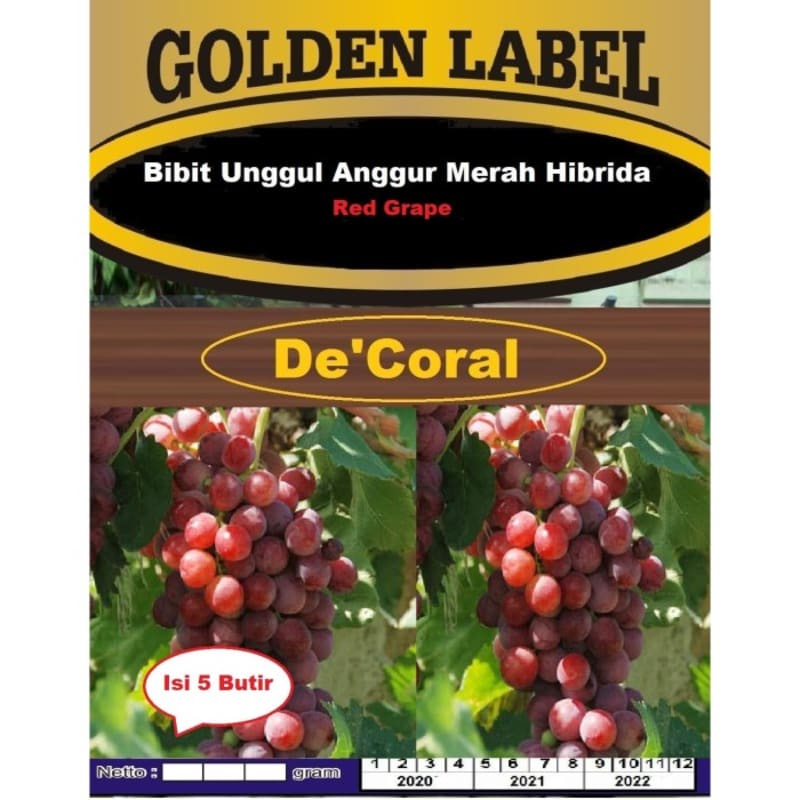 Bibit Unggul Anggur Merah Hibrida | Benih Anggur Merah