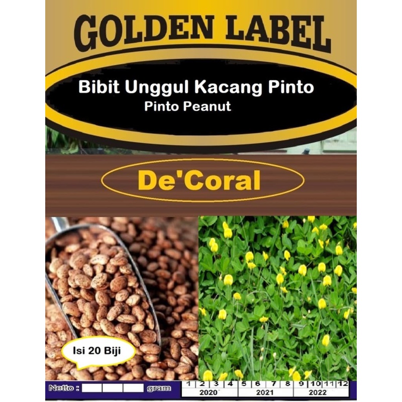 Bibit Unggul Kacang Pinto | Benih Kacang Pinto | Pinto Peanut