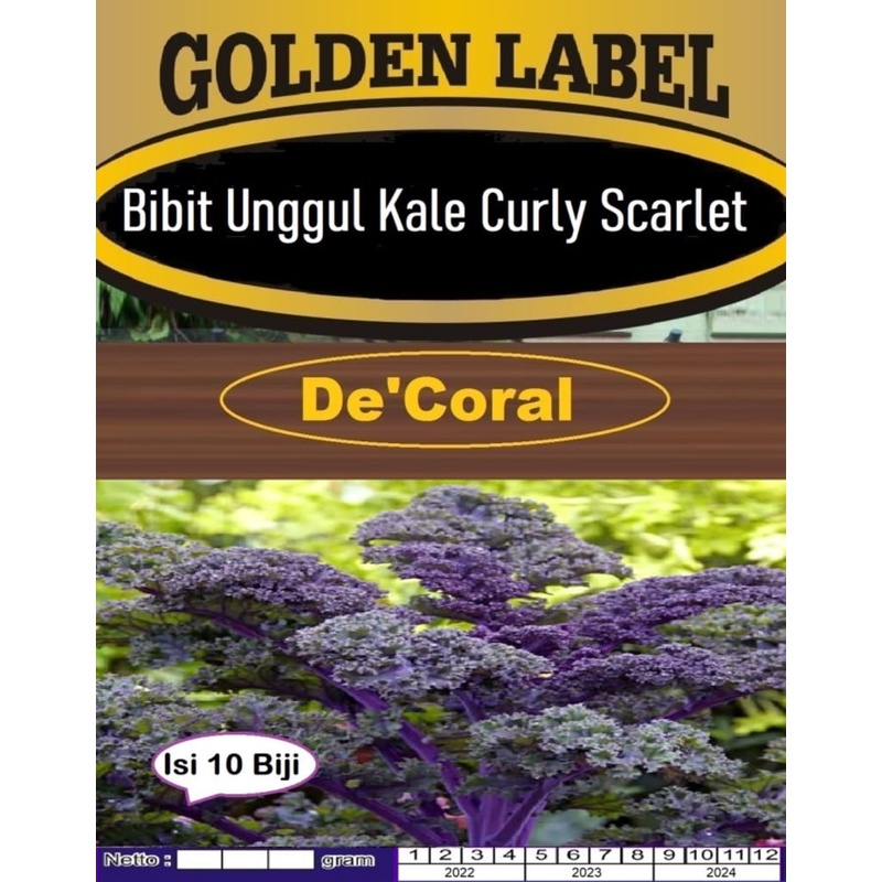 Bibit Unggul Kale Curly Scarlet|Benih Kale Curly Scarlet|Kale Scarlet
