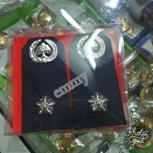pangkat LURAH PDU