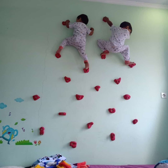 Terbatas Poin Panjat / Point Wall Climbing / Climbing Holds _.