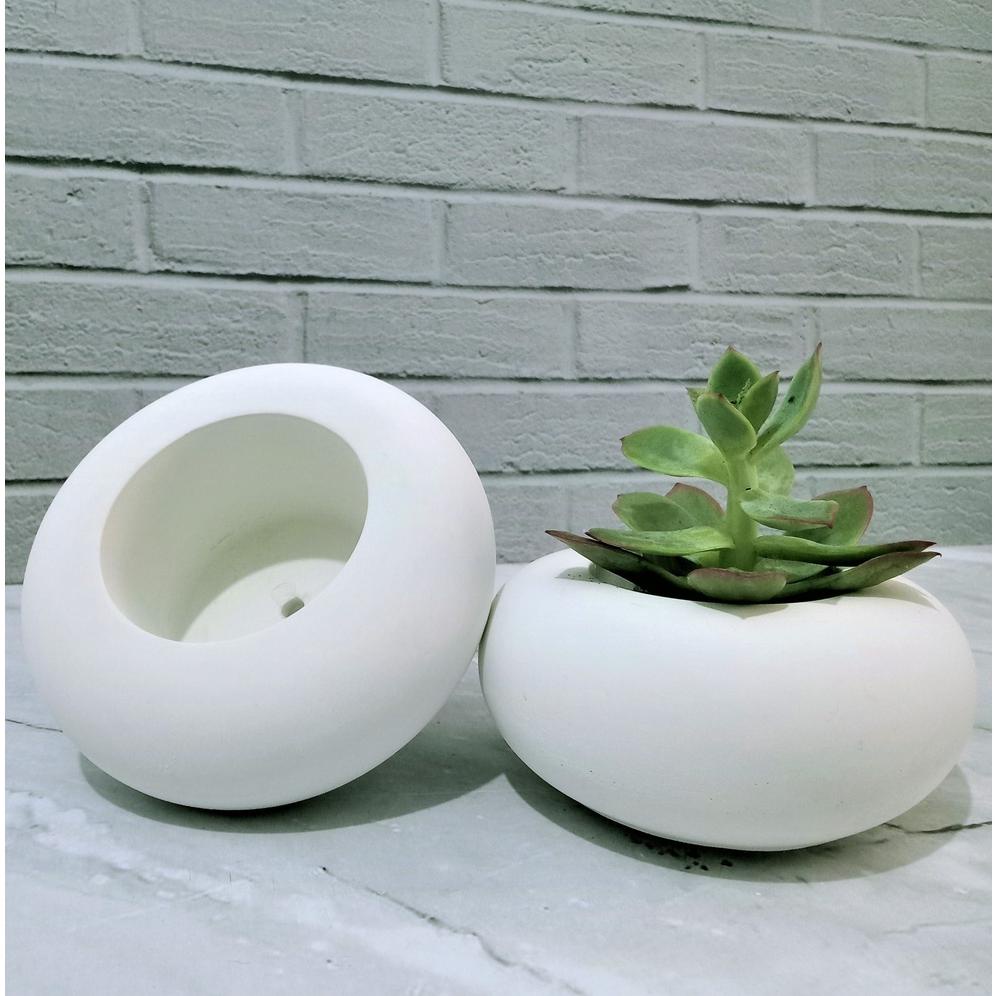 POT DONAT + SUKULEN KAKTUS MINI / POT + EDELWEIS