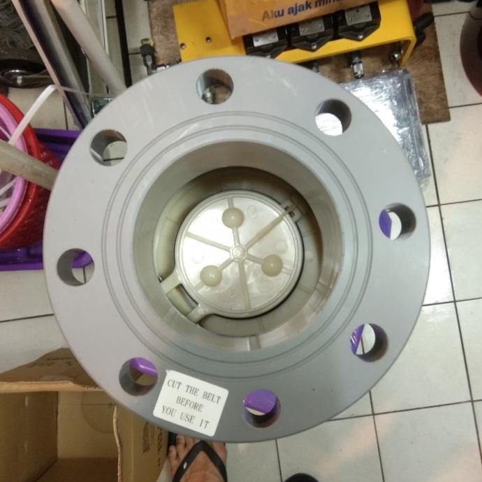Foot Valve Flange Pvc 4" Inch