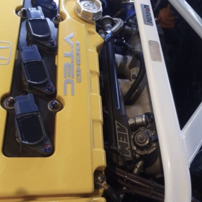 AEM Fullset Fuel Rail FPR Fuel Pressure Regulator D Series Honda