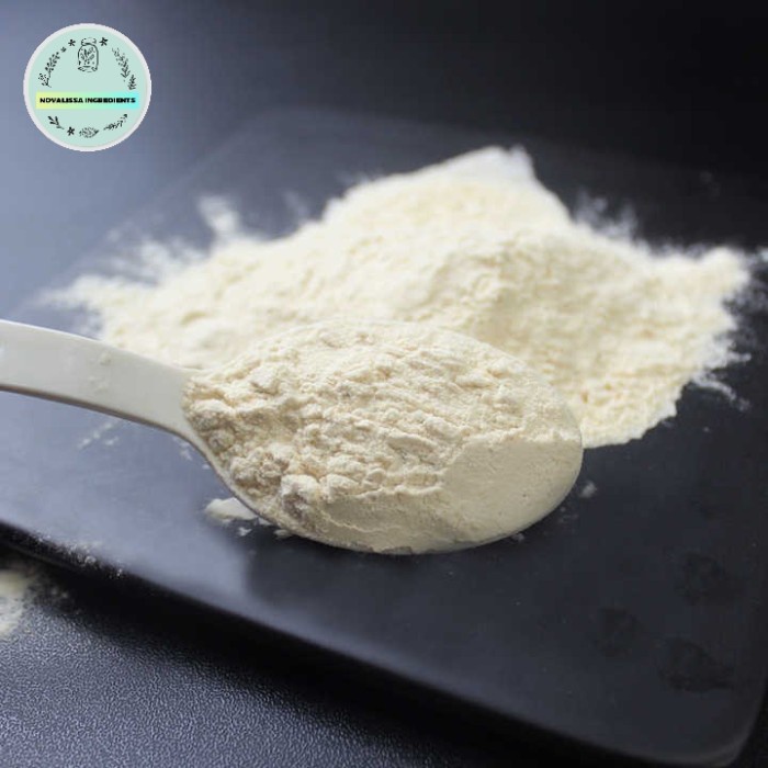 

Promo!! Vital Wheat Gluten - 1Kg