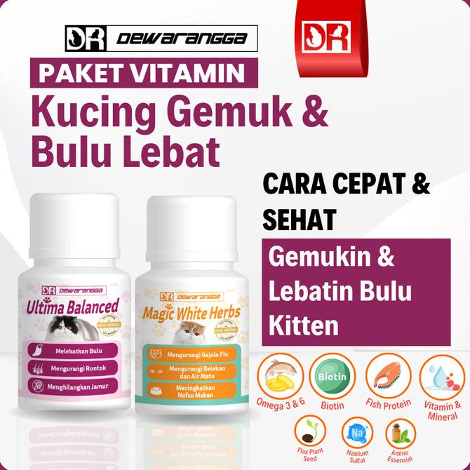 Vitamin Kucing agar Gemuk dan Penumbuh Bulu Kucing Dewarangga