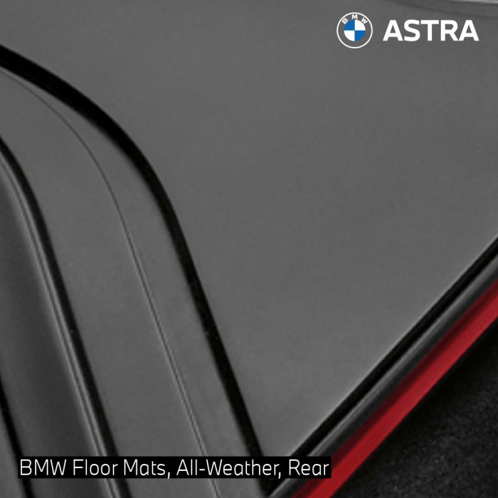 BMW GENUINE ALL-WEATHER RUBBER REAR CAR FLOOR MATS SPORT F30/F31