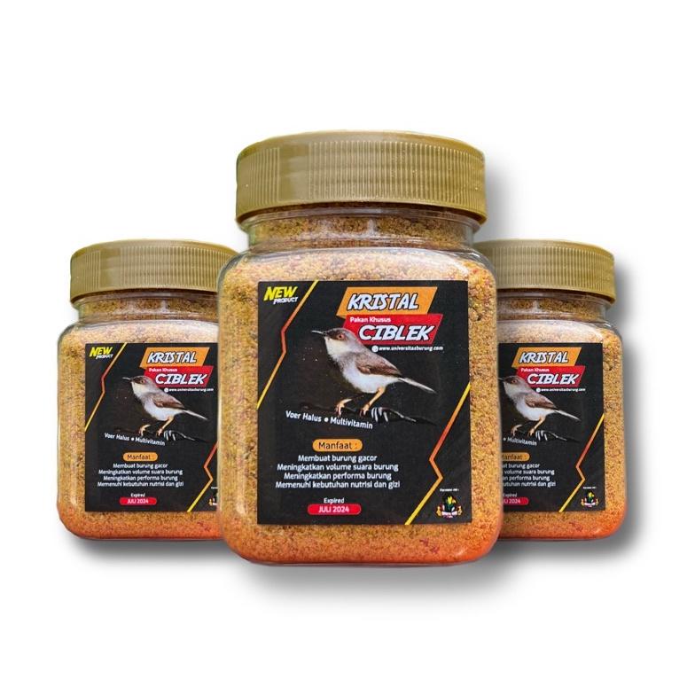 Update Kristal ciblek pakan ciblek gacor 