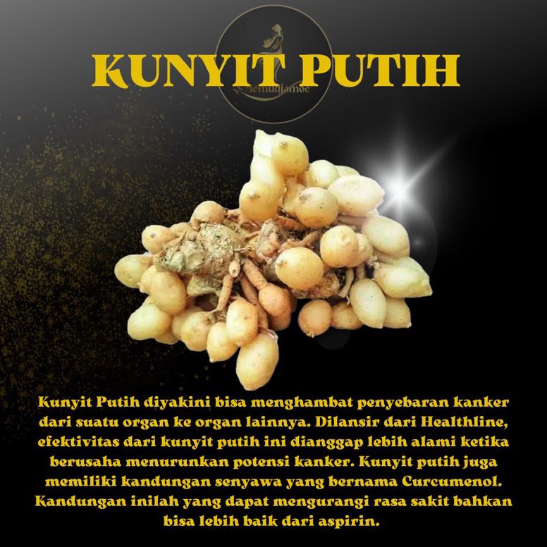 

Berkualitas! Kunyit Putih Bubuk (Murni 100%) Kista | Mioum | Kanker | Tumor ..