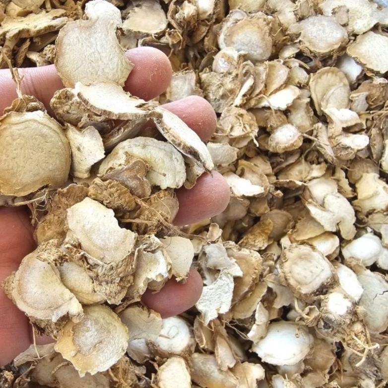 

Sale Kunyit Putih Kering 500Gr - Kunir Putih Asli Original - Temu Putih Kualitas Bagus Cod