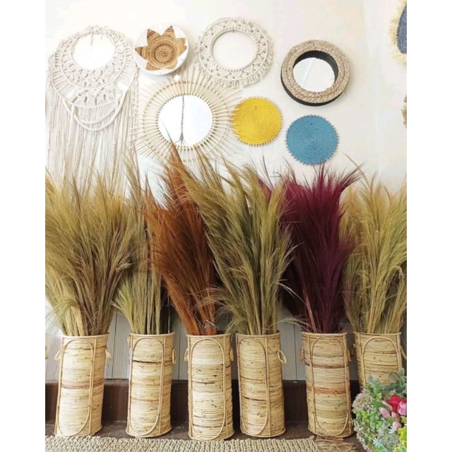 RAYUNG WARNA WARNI RAYUNG PAMPAS DEKORASI RUMAH DEKORASI PERNIKAHAN TUNANGAN