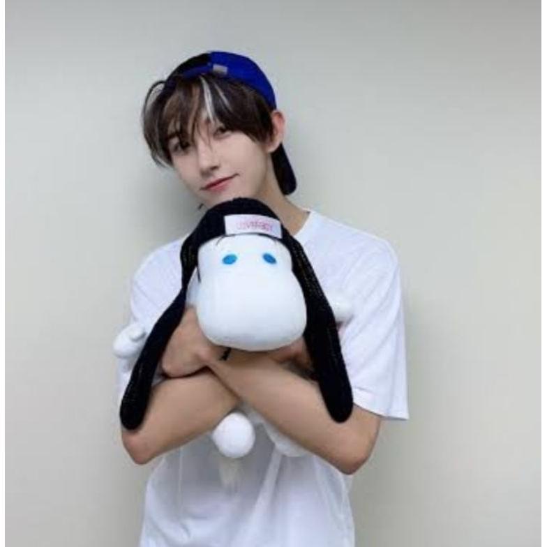 Sale BONEKA MOOMIN RENJUN NCT / MOOMIN PLUSH KPOP Terlaris
