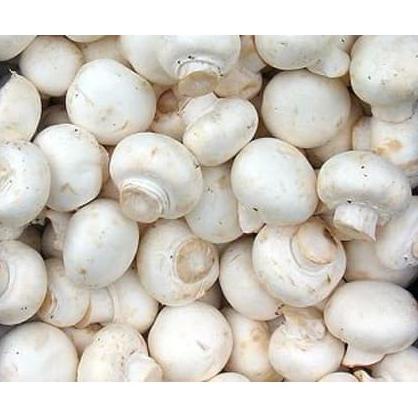 

Trendy Jamur Champignon 500gr