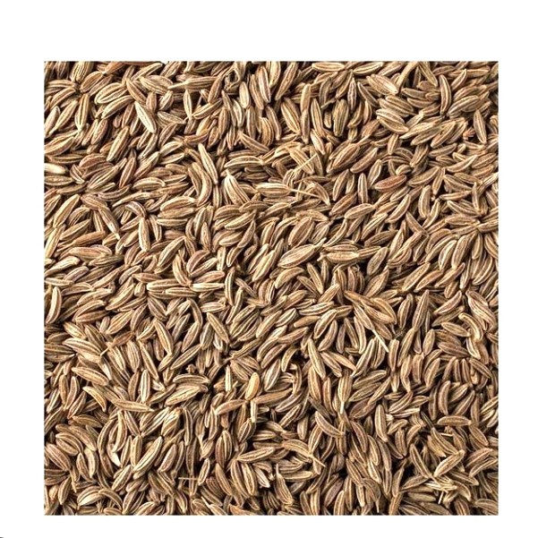 

populer] Zeera jeera jintan 50 gr