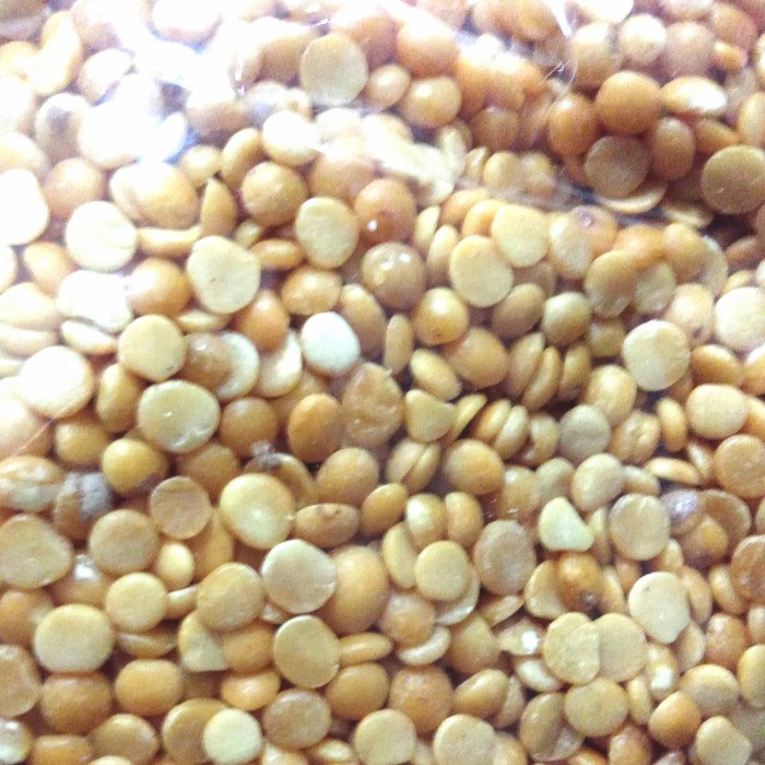 

Kualitas terbaik] toor daal toor dal kacang door