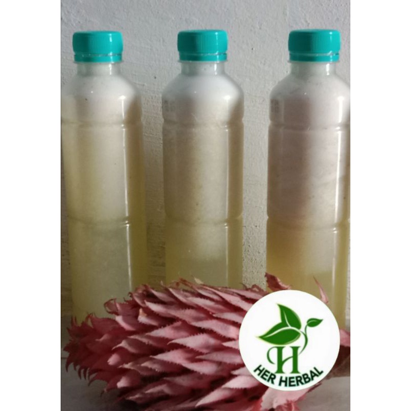 

JUAL JUS BUAH NANAS MERAH NANAS MUDA SIAP PAKAI
