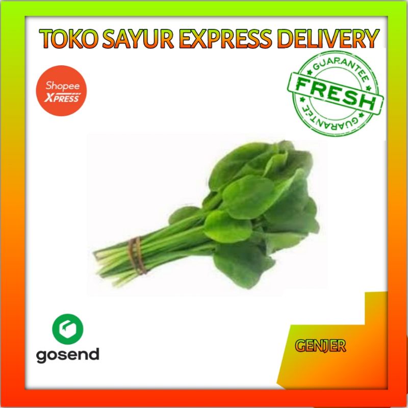 

Sayur Genjer Segar - Sayuran Fresh Palembang