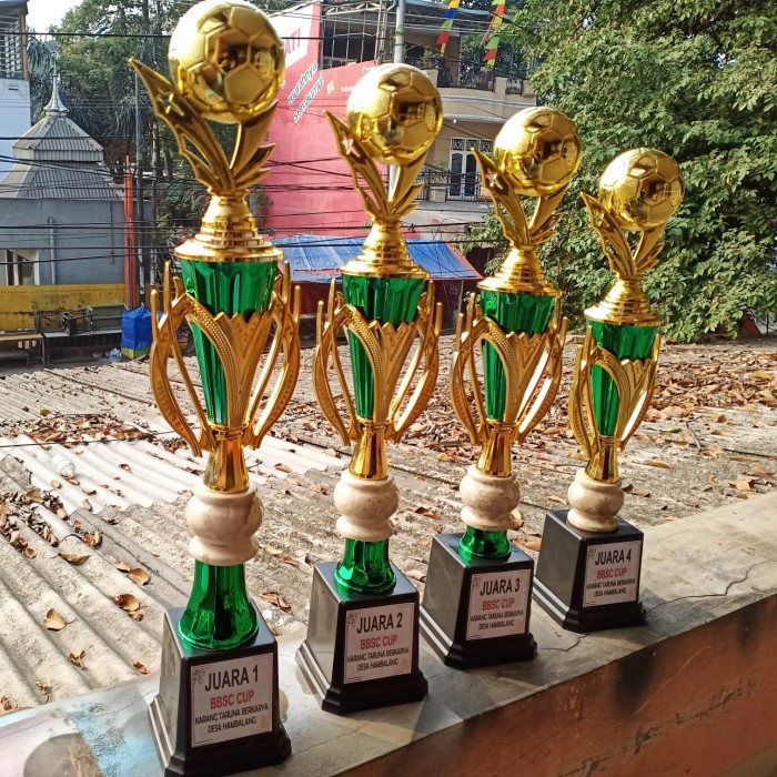 Piala Trophy Tropi Bola Futsal Set Juara 1 2 3 4 Bagus Murah