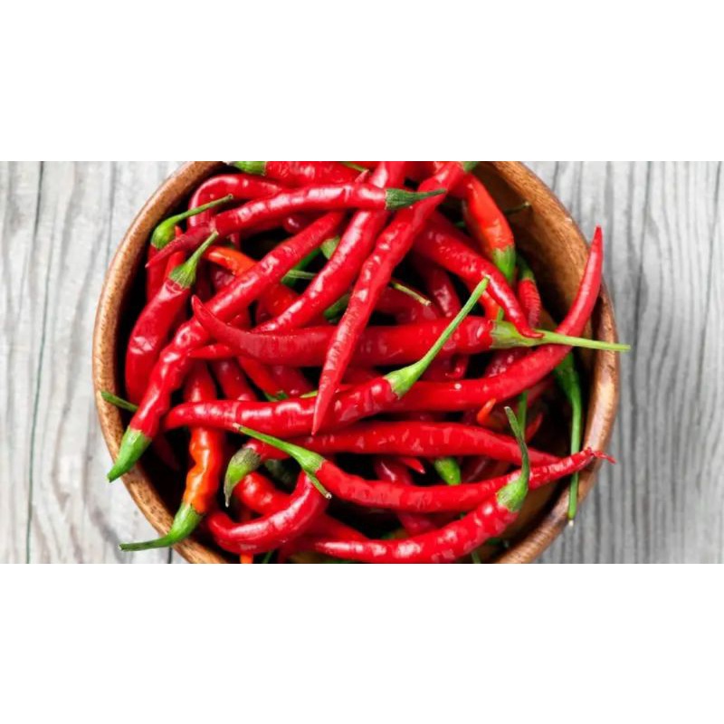 

CABE MERAH MEDAN