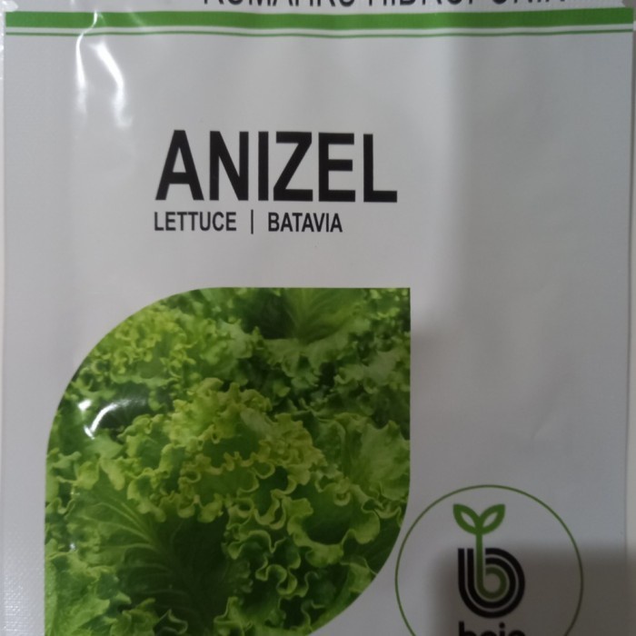 Benih Anizel 5 Gr Selada Bibit Hidroponik