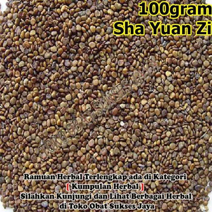 

Ready Stock 100Gram Sha Yuan Zi / Astragalus Seed - - Semen