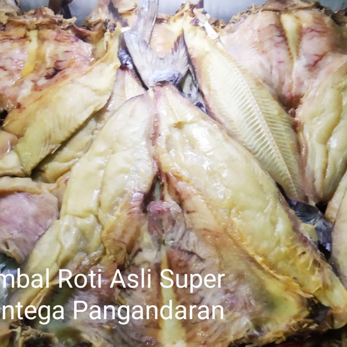 

Ikan Asin Jambal Roti Asli Super Mentega Pangandaran