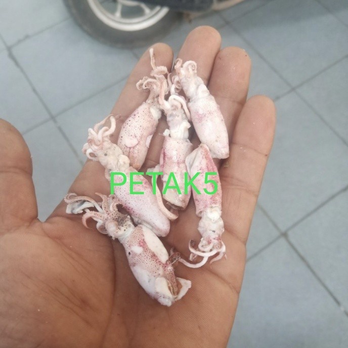 

ikan asin cumi beby/beby cumi asin10kg/per dus grab gojek only