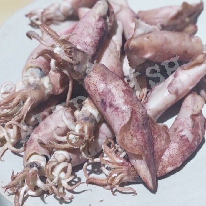 Cumi Asin Telur Kiloan Ikan Asin Ikan Cumi Cumi Telur
