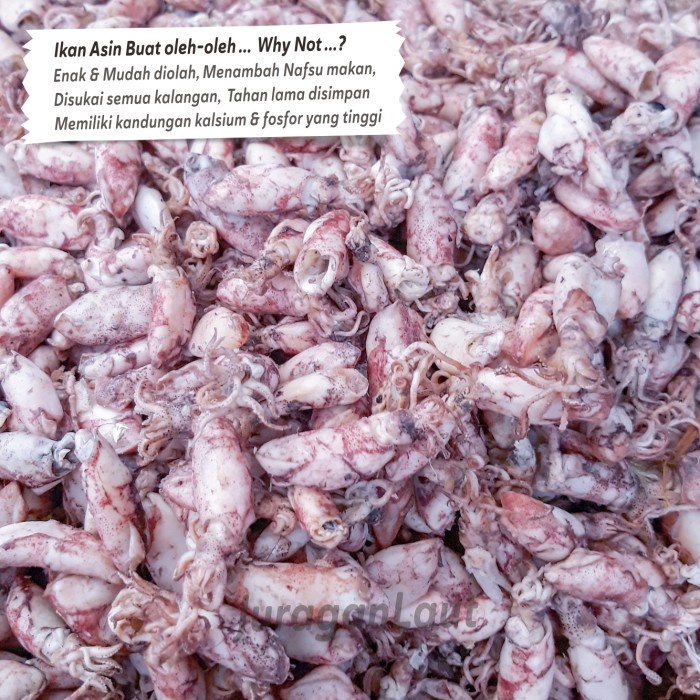 

Cumi Baby Cumi Asin Baby 40% Kering Premium 1Kg Utk Sambal Baby Cumi