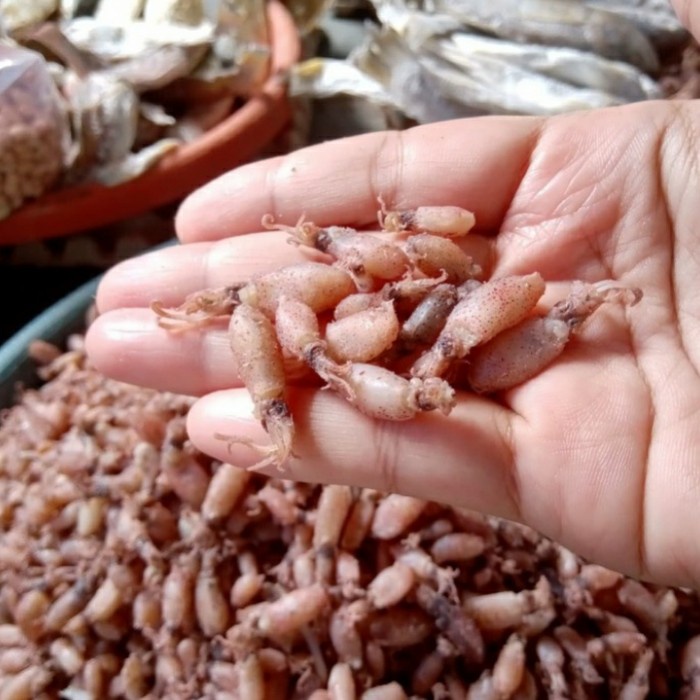 

Baby Cumi 500 Gram / Cumi Baby/ Cumi Asin / Ikan Asin