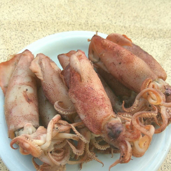 

Cumi Asin (Basah) Premium 500 Gram