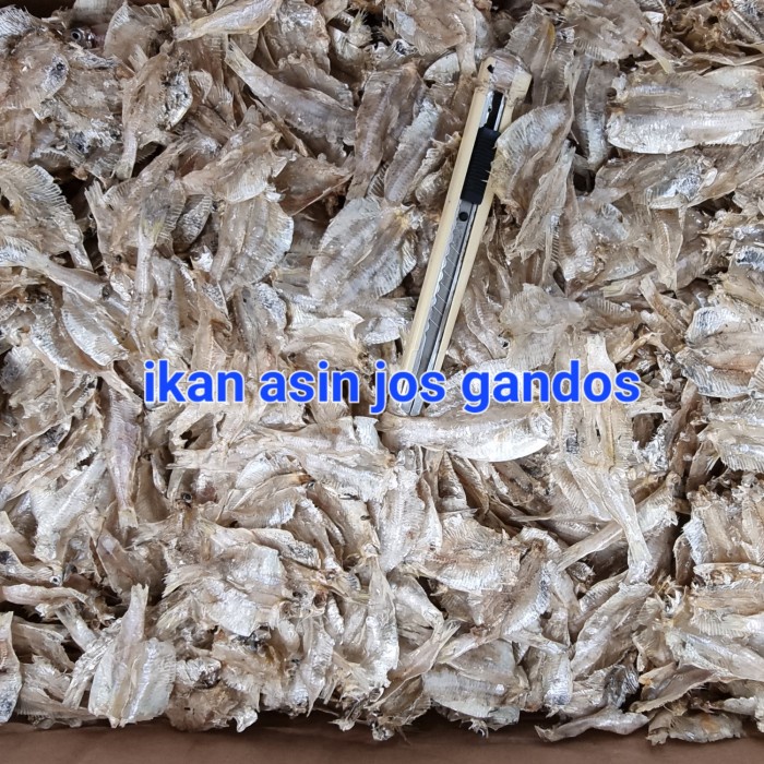 

Ikan Asin Kalapan Pakang Belah 1 Kg