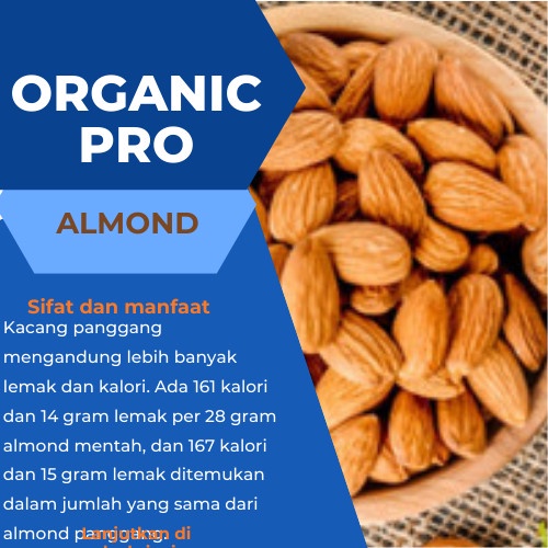 Kacang - Almond ,Kacang Almond Mentah 1Kg