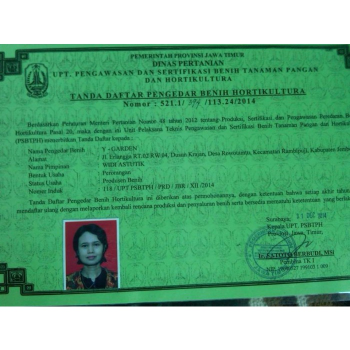 Benih Kedelai Edamame, 1 Kg Benih Edamame Ada Sekitar 2500 Butir.