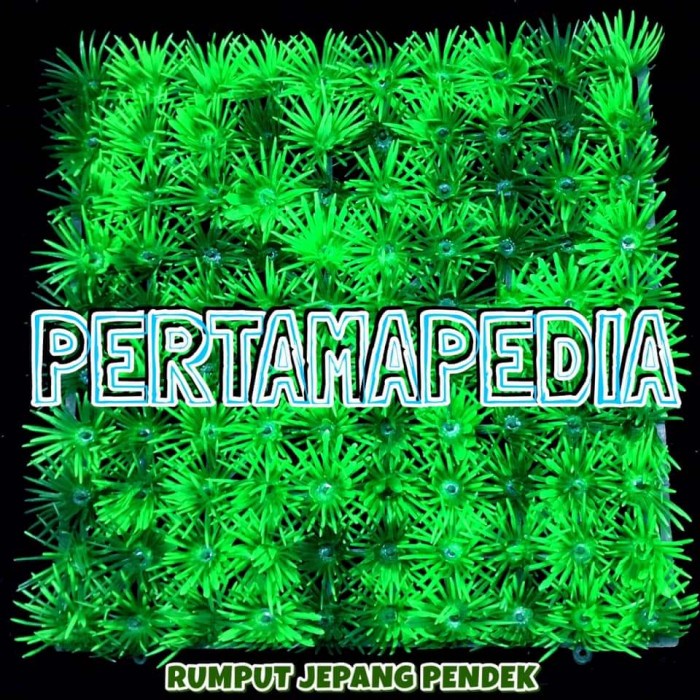 Promo Rumput Artificial/ Rumput Aquarium/ Rumput Hias Sintetis Gajah